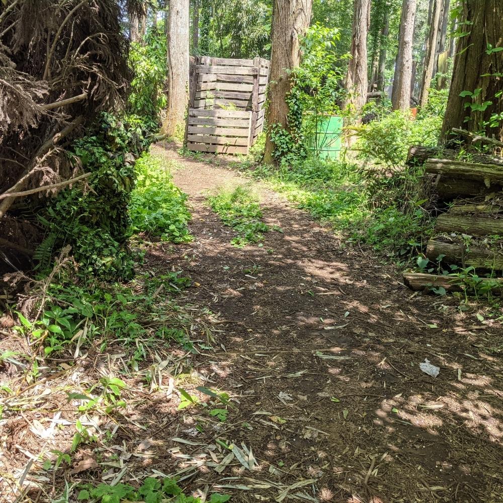 Arcturus 3D Leaf Suit - Summer Green